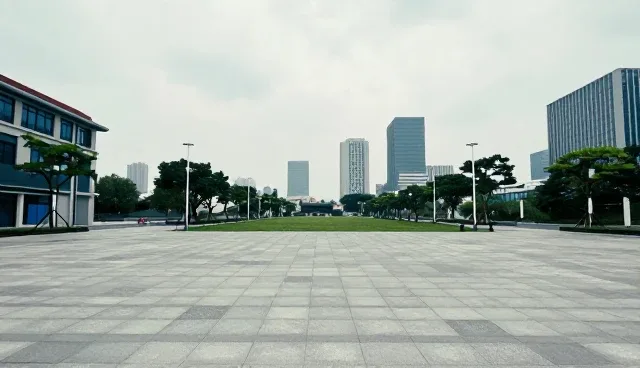信息处理中技术匹配如何影响项目应用效果